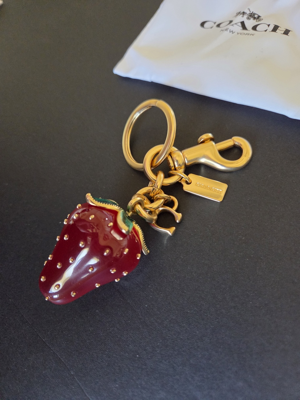 Coach Strawberry Bag Charm